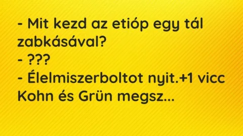 Vicc: – Mit kezd az etióp egy tál zabkásával?

– ???

– Élelmiszerboltot…