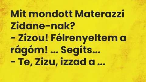 Vicc: Mit mondott Materazzi Zidane-nak?

– Zizou! Félrenyeltem a rágóm! ……