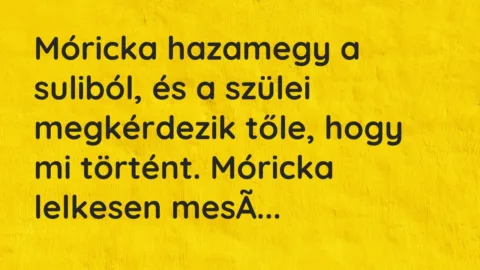 Vicc: Móricka hazamegy a suliból, és a szülei megkérdezik tőle, hogy mi történt…