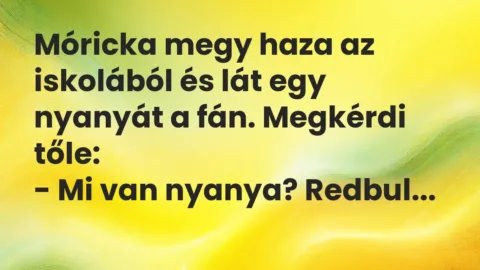 Vicc: Móricka megy haza az iskolából és lát egy nyanyát a fán. Megkérdi tőle:

-…