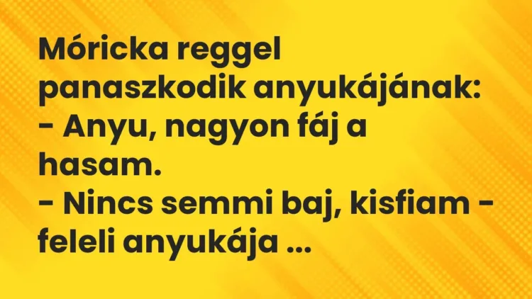 Vicc: Móricka reggel panaszkodik anyukájának:
– Anyu, nagyon fáj a hasam.
-… Vicc: Móricka reggel panaszkodik anyukájának:
– Anyu, nagyon fáj a hasam.
-…
