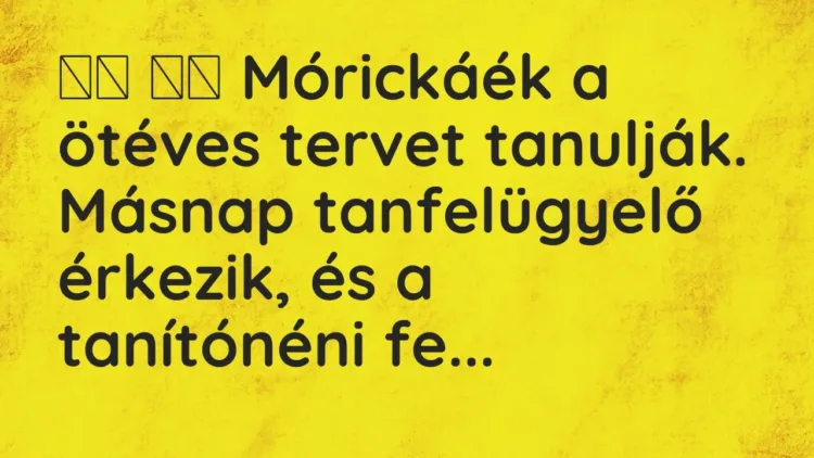 Vicc:
Mórickáék a ötéves tervet tanulják. Másnap tanfelügyelő… Vicc:
Mórickáék a ötéves tervet tanulják. Másnap tanfelügyelő…