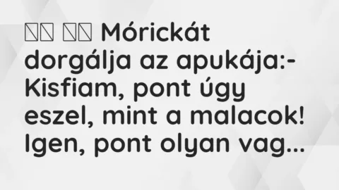 Vicc: 
		  
		  Mórickát dorgálja az apukája:- Kisfiam, pont úgy eszel,…