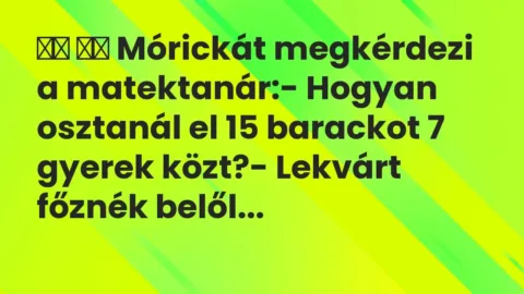 Vicc: 
		  
		  Mórickát megkérdezi a matektanár:- Hogyan osztanál el…