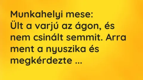 Vicc: Munkahelyi mese:

Ült a varjú az ágon, és nem csinált semmit. Arra ment a…