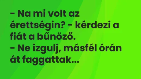Vicc: – Na mi volt az érettségin? – kérdezi a fiát a bűnöző.

– Ne izgulj, másfél…
