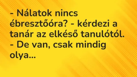 Vicc: – Nálatok nincs ébresztőóra? – kérdezi a tanár az elkéső tanulótól.

– De…
