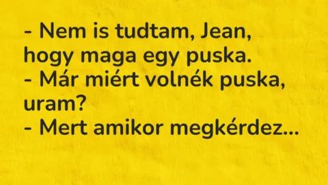 Vicc: – Nem is tudtam, Jean, hogy maga egy puska.

– Már miért volnék puska,…