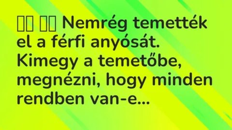 Vicc: 
		  
		  Nemrég temették el a férfi anyósát. Kimegy a temetőbe,…