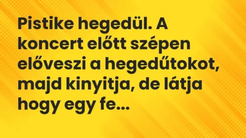 Vicc: Pistike hegedül. A koncert előtt szépen előveszi a hegedűtokot, majd kinyitja,…