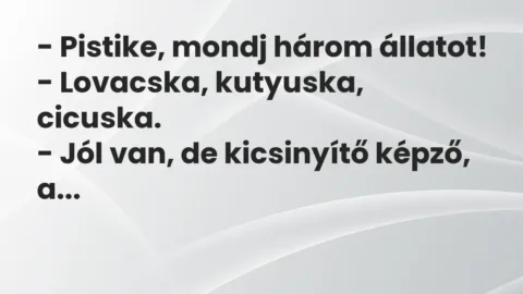Vicc: – Pistike, mondj három állatot!

– Lovacska, kutyuska, cicuska.

– Jól…
