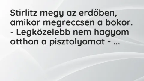 Vicc: Stirlitz megy az erdőben, amikor megreccsen a bokor.

– Legközelebb nem…