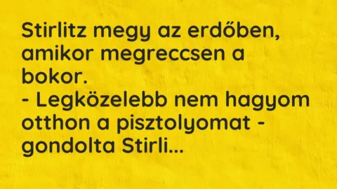 Vicc: Stirlitz megy az erdőben, amikor megreccsen a bokor.

– Legközelebb nem…