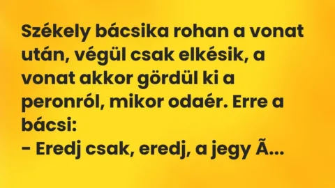 Vicc: Székely bácsika rohan a vonat után, végül csak elkésik, a vonat akkor gördül ki…