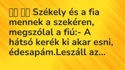 Vicc: 
		  
		  Székely és a fia mennek a szekéren, megszólal a fiú:- A…