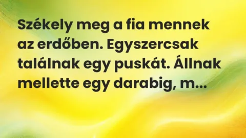 Vicc: Székely meg a fia mennek az erdőben. Egyszercsak találnak egy puskát. Állnak…