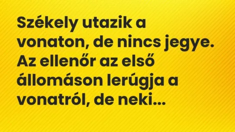 Vicc: Székely utazik a vonaton, de nincs jegye. Az ellenőr az első állomáson lerúgja a…