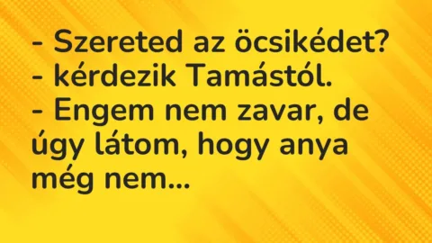 Vicc: – Szereted az öcsikédet? – kérdezik Tamástól.

– Engem nem zavar, de úgy…