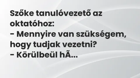 Vicc: Szőke tanulóvezető az oktatóhoz:

– Mennyire van szükségem, hogy tudjak…