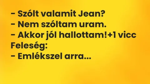 Vicc: – Szólt valamit Jean?

– Nem szóltam uram.

– Akkor jól hallottam!