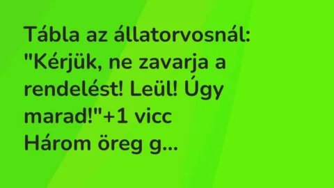 Vicc: Tábla az állatorvosnál:

“Kérjük, ne zavarja a rendelést! Leül! Úgy marad!”