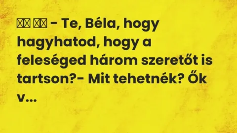 Vicc: 
		  
		  – Te, Béla, hogy hagyhatod, hogy a feleséged három szeretőt…