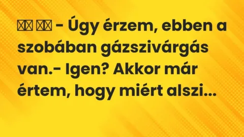 Vicc: 
		  
		  – Úgy érzem, ebben a szobában gázszivárgás van.- Igen? …