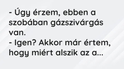 Vicc: – Úgy érzem, ebben a szobában gázszivárgás van.

– Igen? Akkor már értem,…