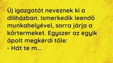 Vicc: Új igazgatót neveznek ki a diliházban. Ismerkedik leendő munkahelyével, sorra…