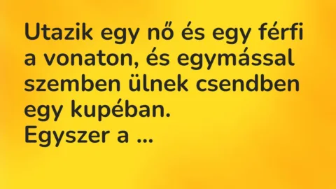 Vicc: Utazik egy nő és egy férfi a vonaton, és egymással szemben ülnek csendben egy…