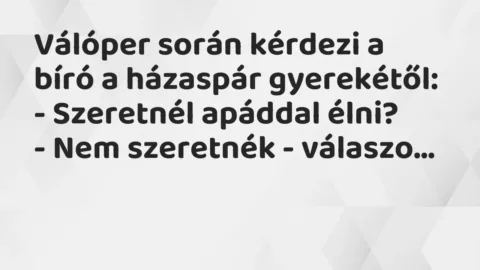 Vicc: Válóper során kérdezi a bíró a házaspár gyerekétől:

– Szeretnél apáddal…