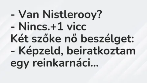 Vicc: – Van Nistlerooy?

– Nincs.