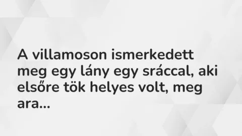 Vicces történet: 
	    	    


A villamoson ismerkedett meg egy lány egy…