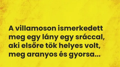 Vicces történet: 
	    	    


A villamoson ismerkedett meg egy lány egy…