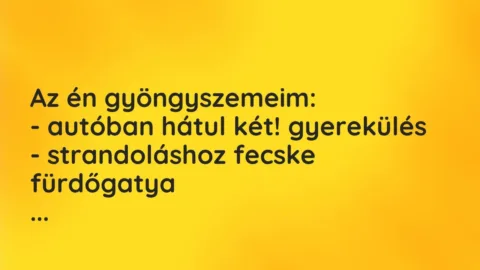 Vicces történet: 
	    	    


Az én gyöngyszemeim:


– autóban hátul két!…