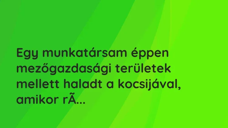 Vicces történet:
Egy munkatársam éppen mezőgazdasági területek… Vicces történet:
Egy munkatársam éppen mezőgazdasági területek…