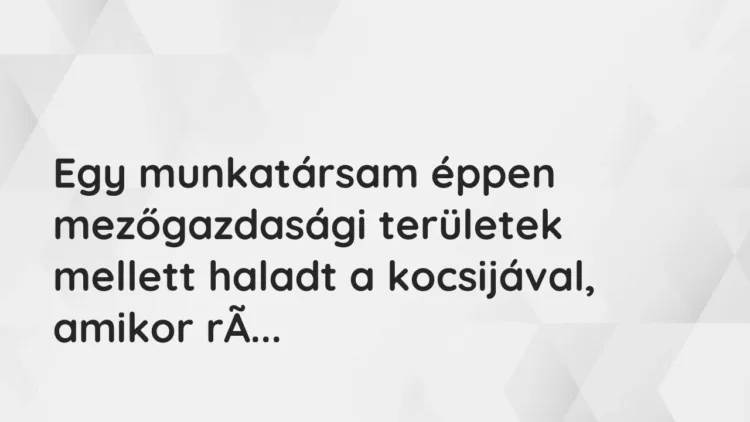 Vicces történet:
Egy munkatársam éppen mezőgazdasági területek… Vicces történet:
Egy munkatársam éppen mezőgazdasági területek…