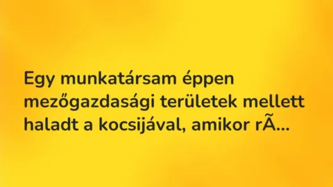 Vicces történet: 
	    	    


Egy munkatársam éppen mezőgazdasági területek…