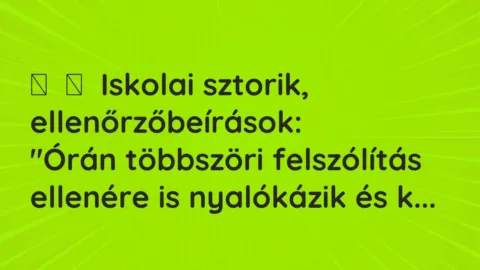 Vicces történet: 
	    	    Iskolai sztorik, ellenőrzőbeírások:


„Órán többszöri…
