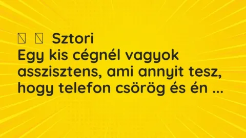 Vicces történet: 
	    	    Sztori


Egy kis cégnél vagyok asszisztens, ami annyit tesz,…