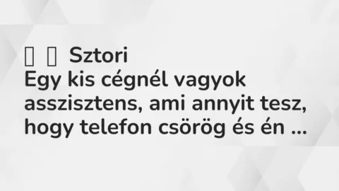 Vicces történet: 
	    	    Sztori


Egy kis cégnél vagyok asszisztens, ami annyit tesz,…