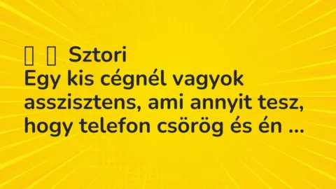 Vicces történet: 
	    	    Sztori


Egy kis cégnél vagyok asszisztens, ami annyit tesz,…