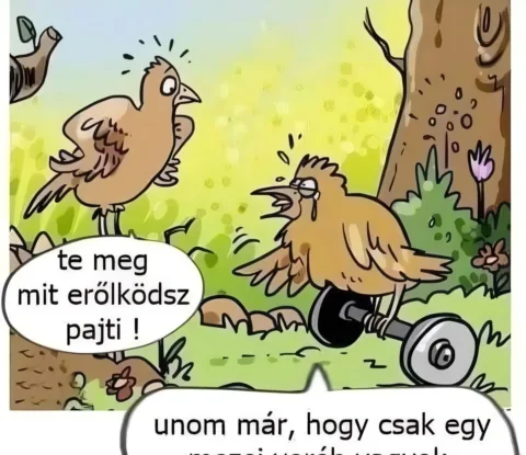 Vicc: Te meg mit erőlködsz