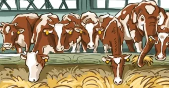 Rejtvény: Találd meg a hibát 3 másodpercen belül, és edzd a figyelmedet. Csak a legélesebb…