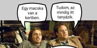 Vicc: Egy macska van a kertben