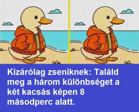 Rejtvény: Kizárólag zseniknek: Találd meg a három különbséget a két