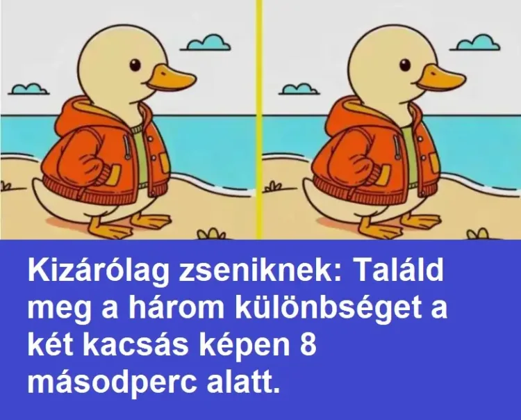 Rejtvény: Kizárólag zseniknek: Találd meg a három különbséget a két