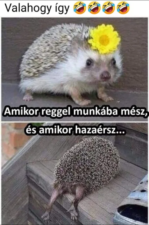 #VK1751349620