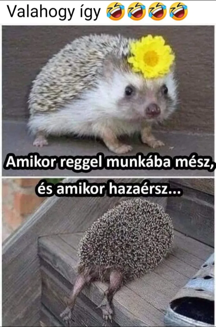 #VK1751349620 #VK1751349620
