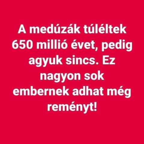 #VK1751353230